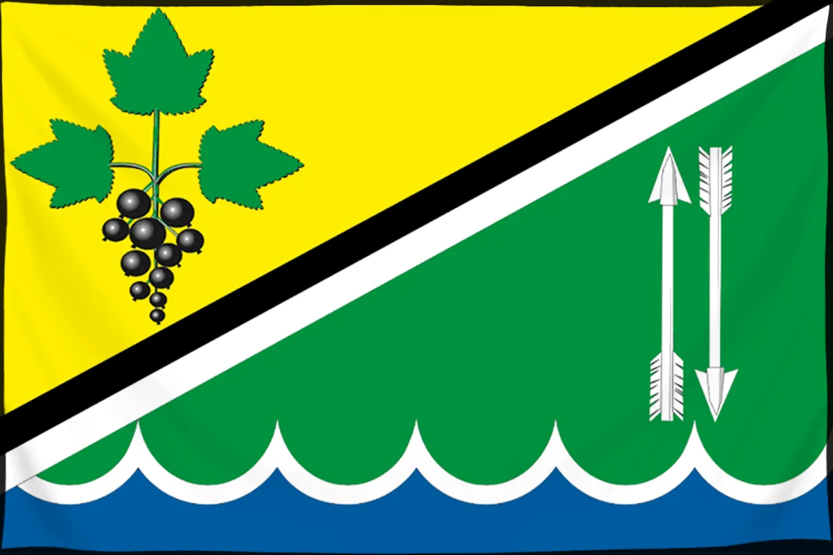 Флаг: Каргатский район